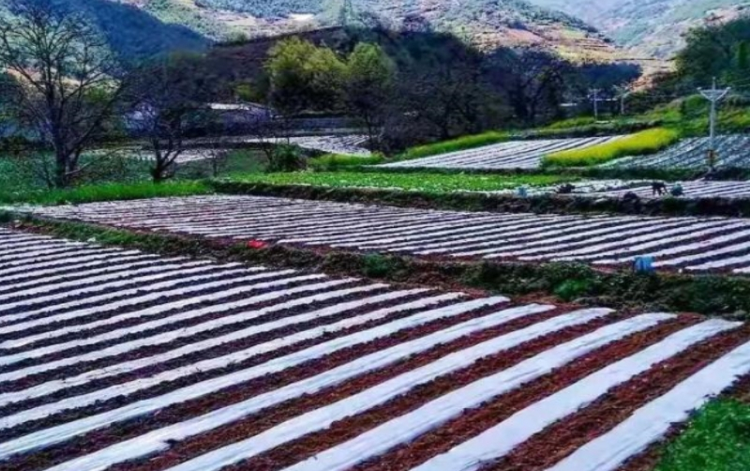 迪庆藏族自治州