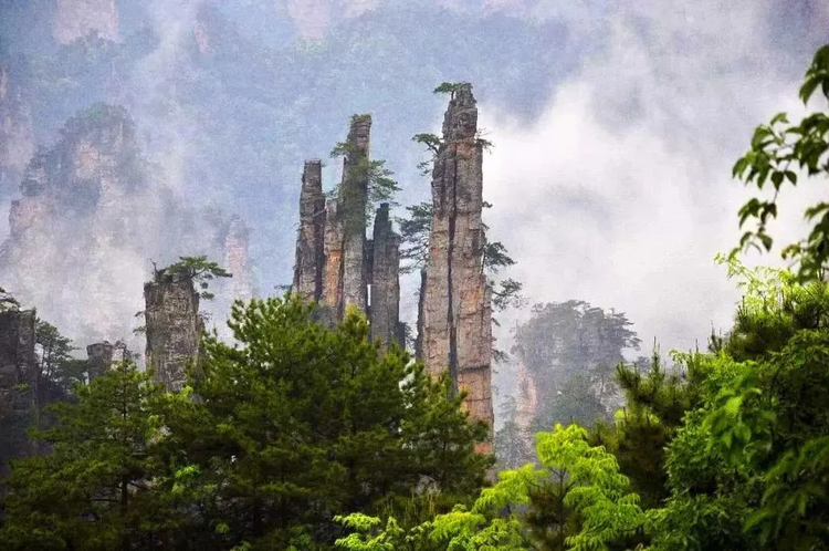 桑植县