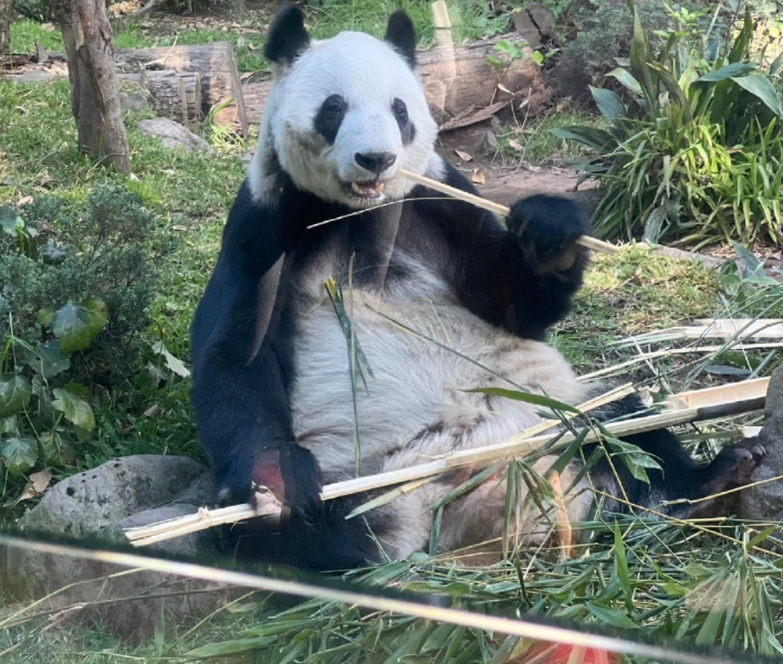 屏幕截图 2023-08-06 220443.png