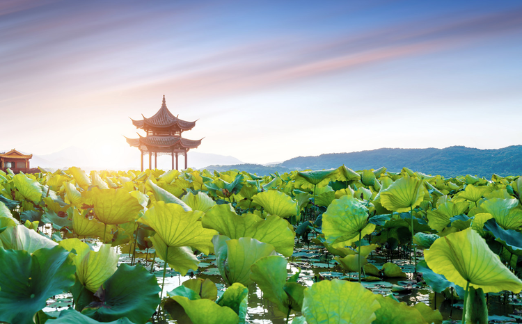 杭州市