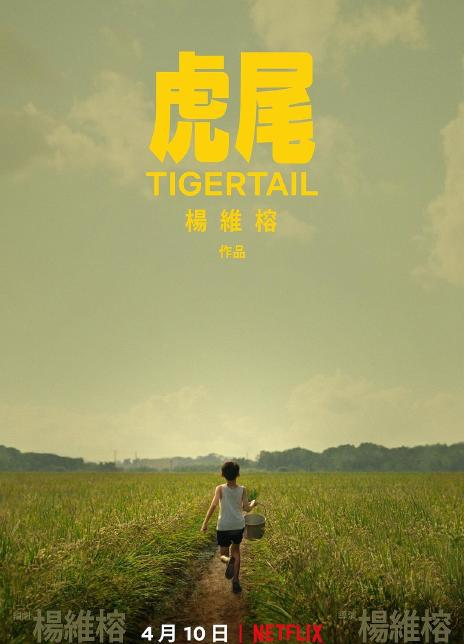 杨贵媚