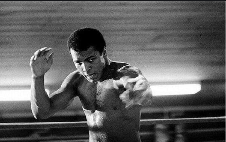 詹姆斯·J·布拉道克