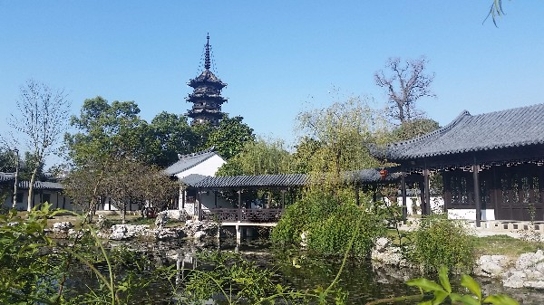 崇教兴福寺塔.jpeg