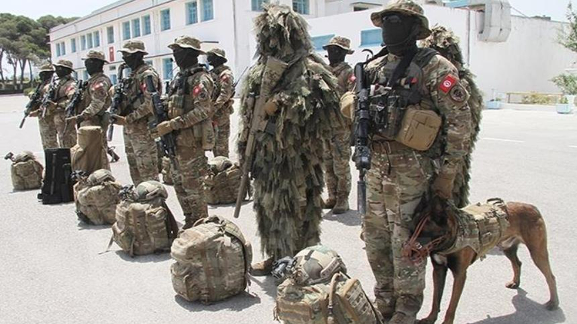 突尼斯武装部队