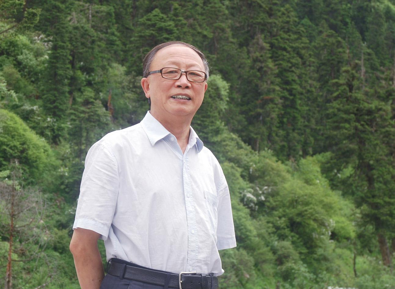 王蓓
