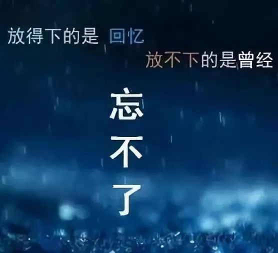 忘不了
