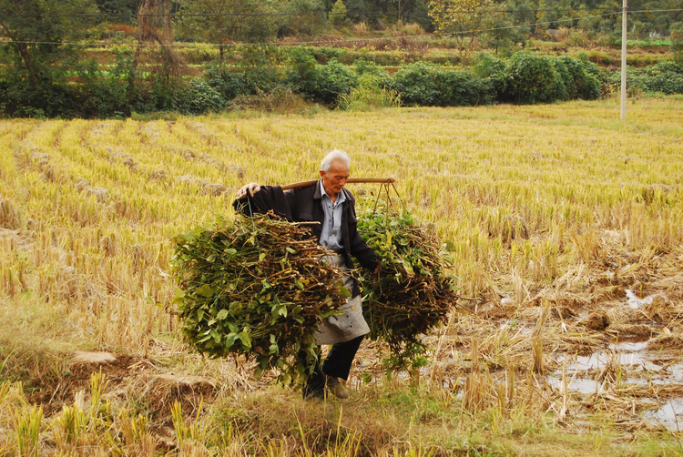 湖南常德：《乡愁》摄影作品追忆著名诗人余光中
