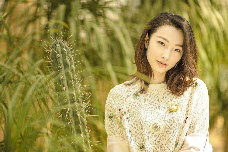中华英雄之风云再起