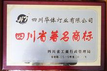 四川华体灯业有限公司