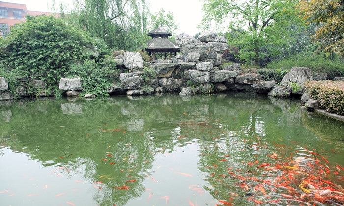 西南民族大学