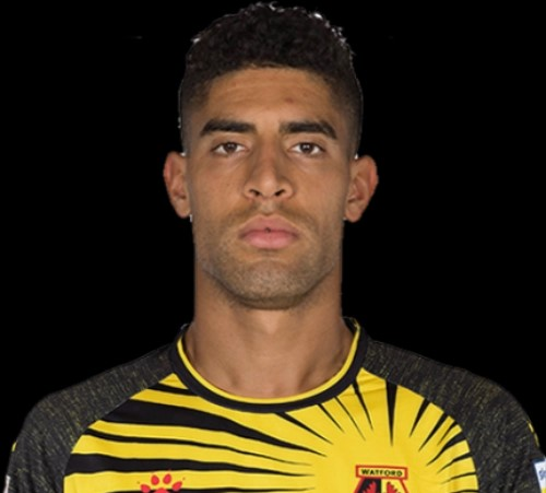 乌迪内斯足球俱乐部