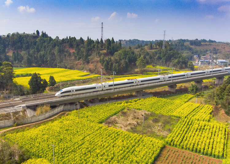 2019年3月拍于四川资阳