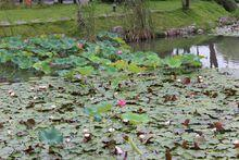 奎湖水上风景区