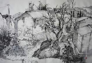 侯晓春