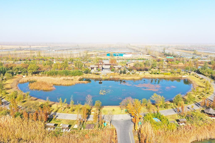 洪泽湖湿地景区