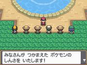 口袋妖怪心金·魂银