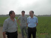 李良怀