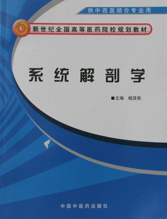 系统解剖学