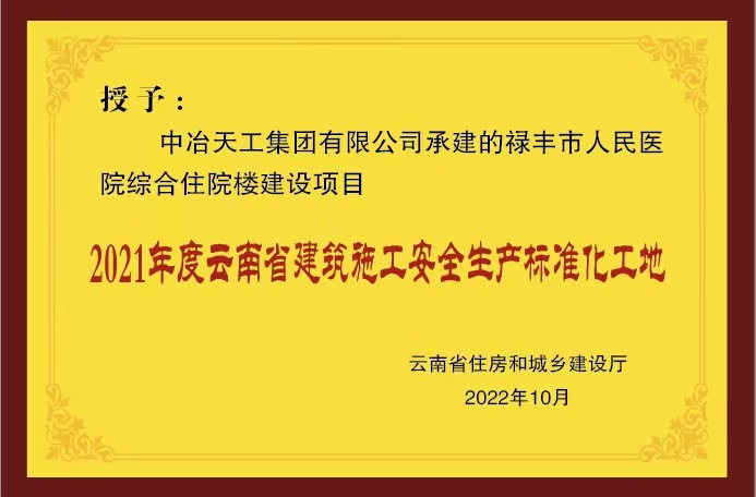 中冶天工集团有限公司