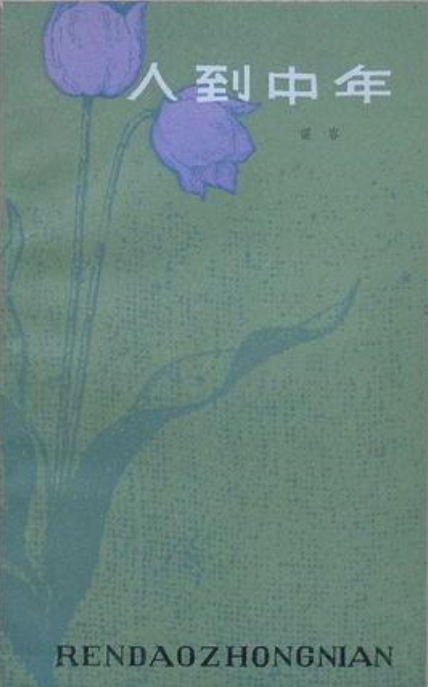 人到中年
