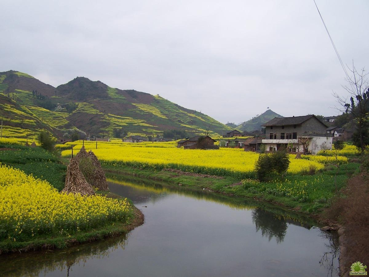 大河村