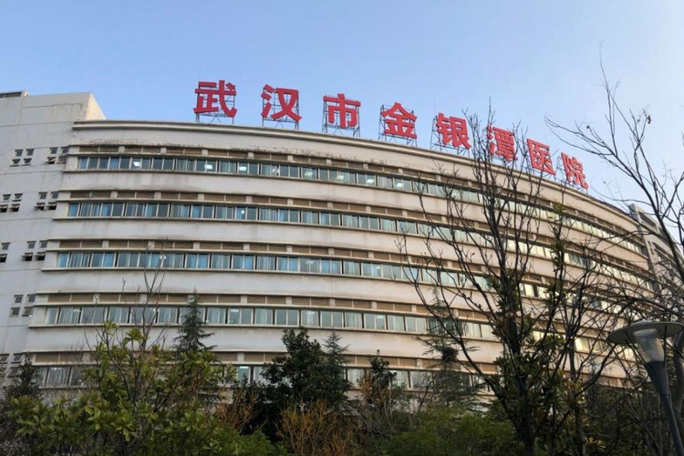 东西湖区