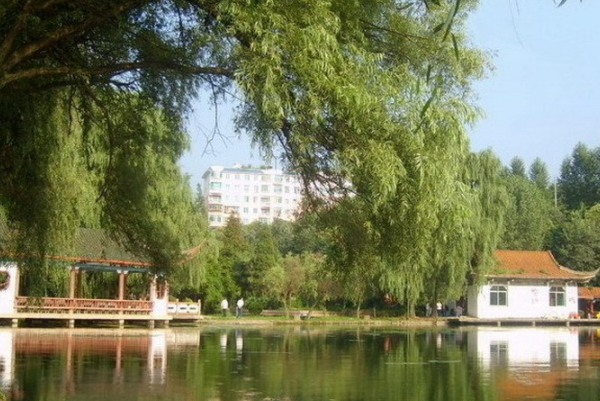 新民市