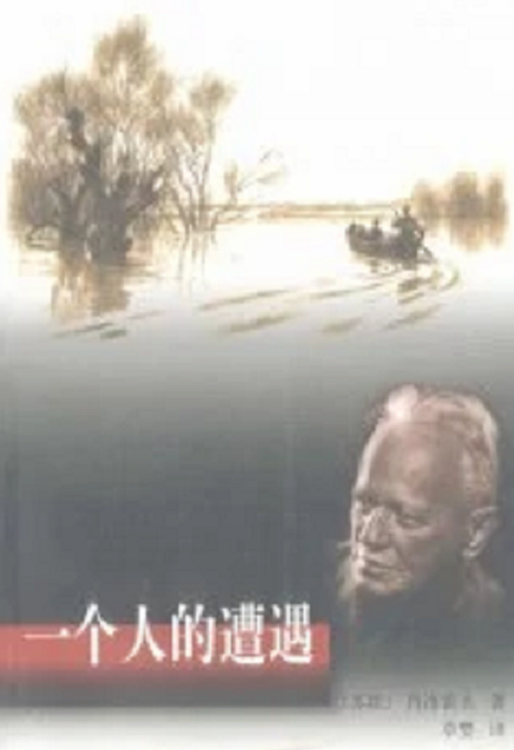 一个人的遭遇