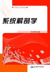 系统解剖学