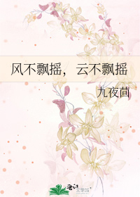 风不飘摇，云不飘摇.png