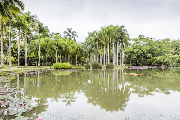 西双版纳傣族自治州