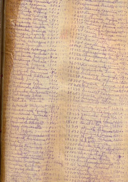 奥斯维辛集中营