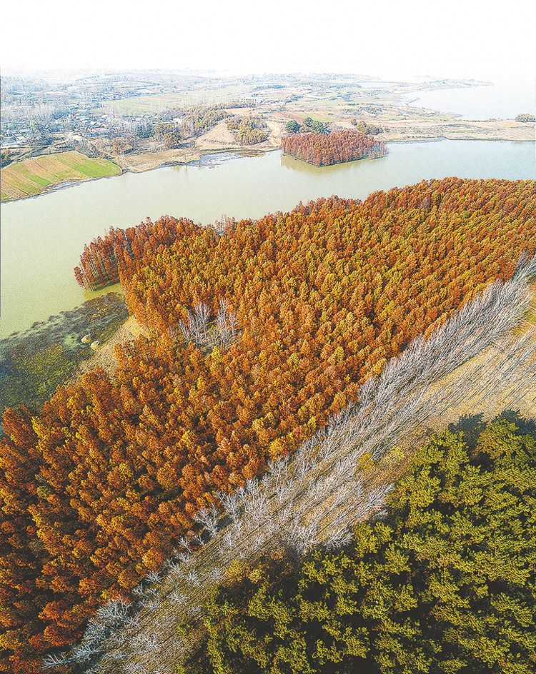 板桥水库