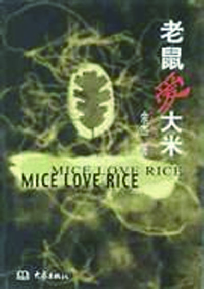 老鼠爱大米