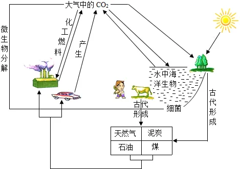 循环示意图.png