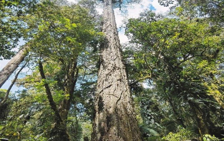 迪庆藏族自治州