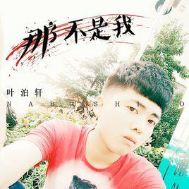 那不是我