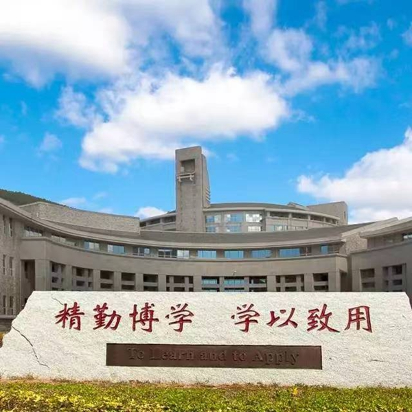 大连东软信息学院
