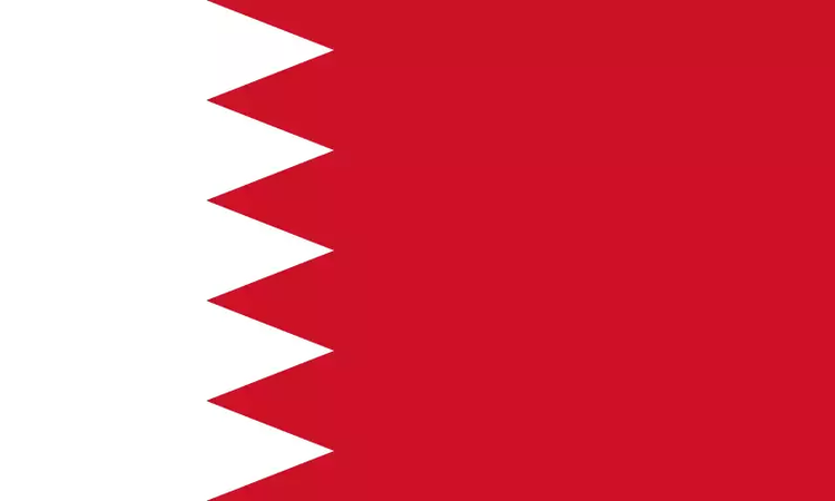 wikiimg.png