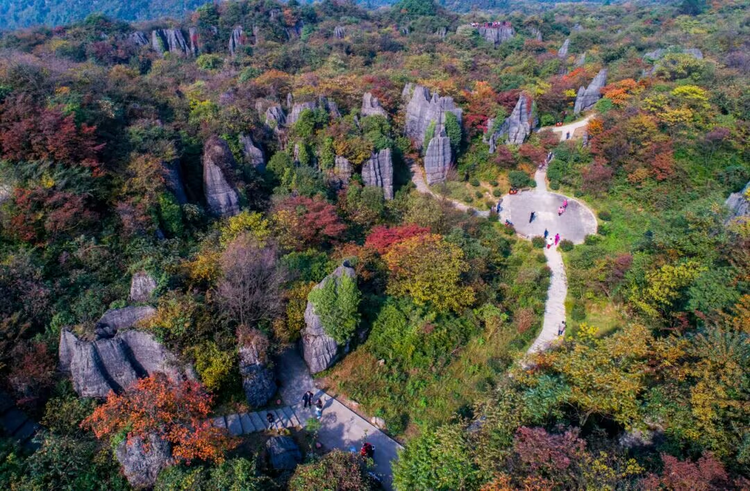 生态石林.jpg