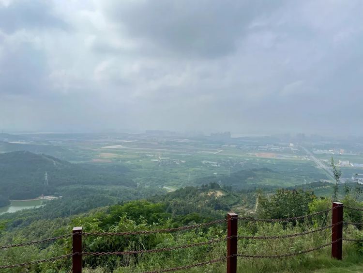 江夏区