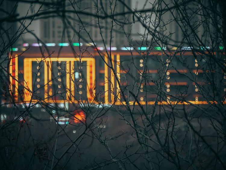 山东理工大学