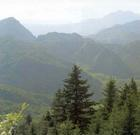 环县兴隆山