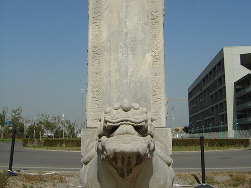 奥林匹克森林公园