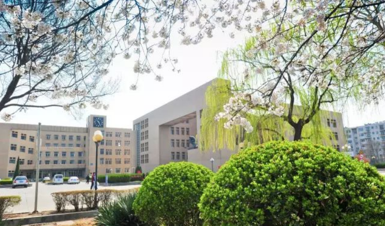 山东理工大学