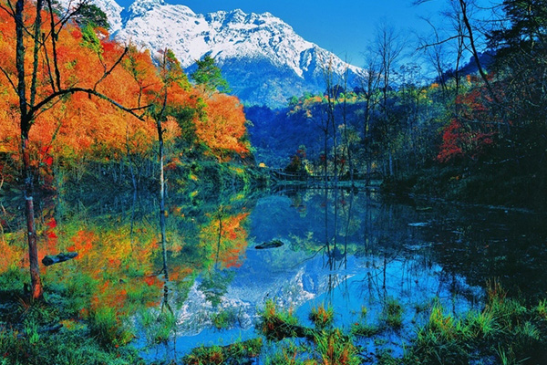 二郎山森林公园