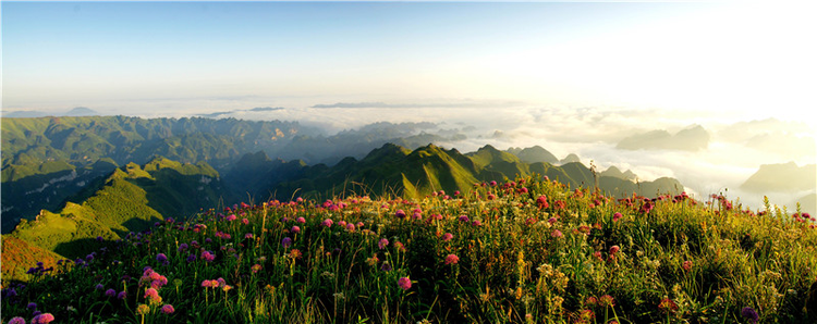 毕节市