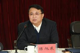 陈旭东
