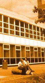 南埃塞克斯学院