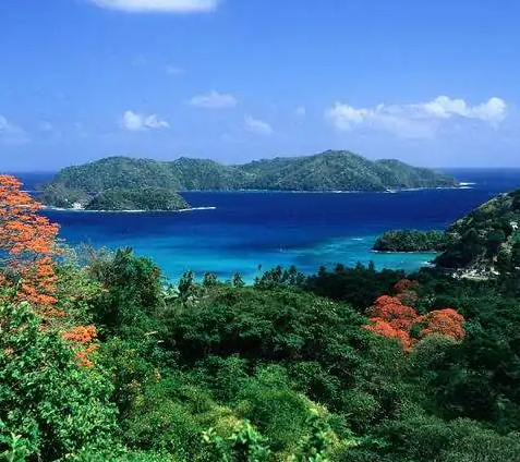 多巴哥岛